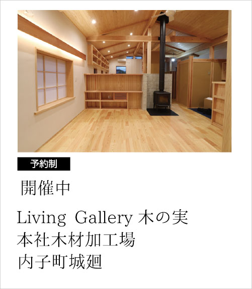 木の実