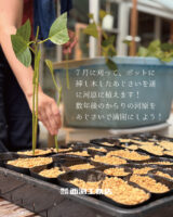 イベント情報